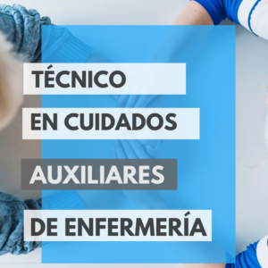 TÉCNICO AUXILIAR (1)