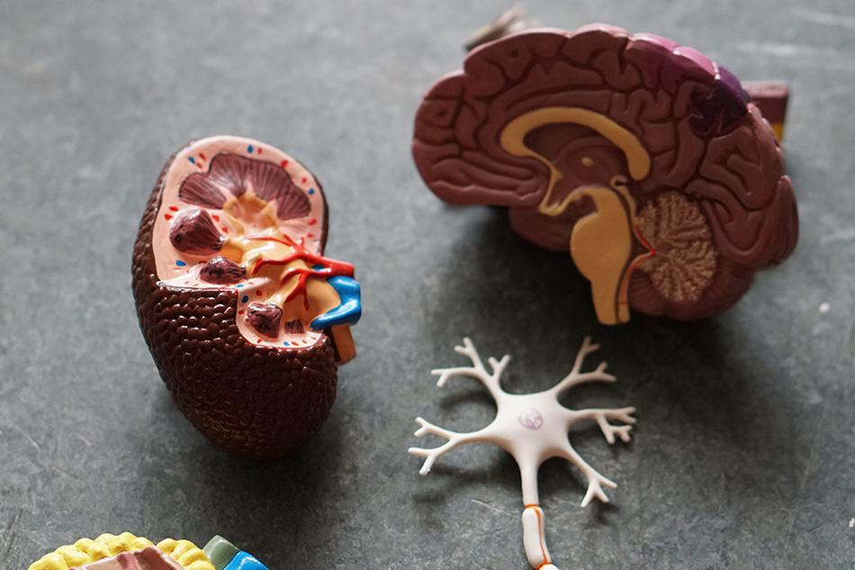 fuenllana-anatomia-patologico-citodiagnostico fuenllana anatomia patologico citodiagnostico